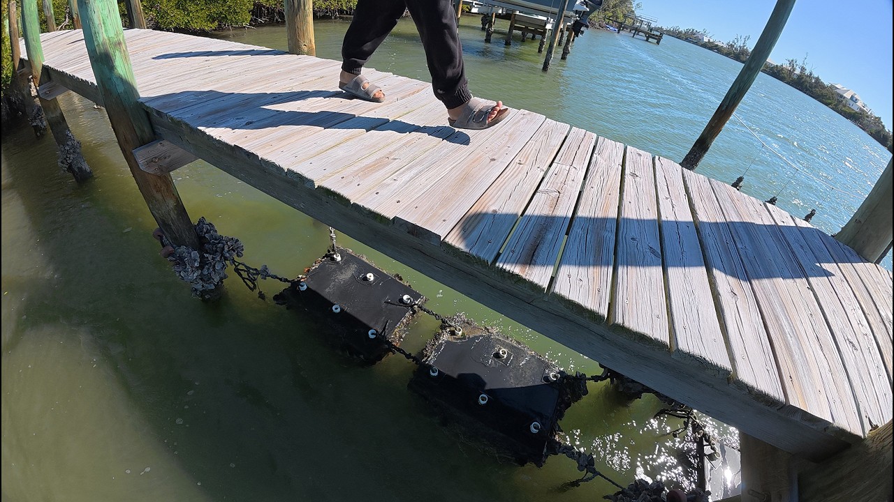 Oysters and Resilience Life in the Wetlands