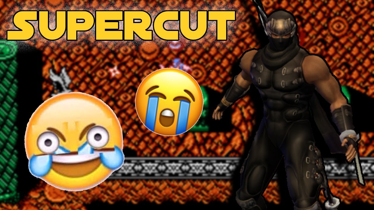 Ninja Gaiden IS Suffering
