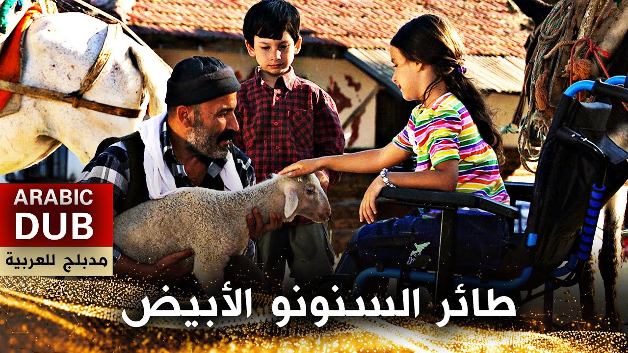 العصفور الصغير - فيلم تركي مدبلج للعربية | Ak Kırlangıç