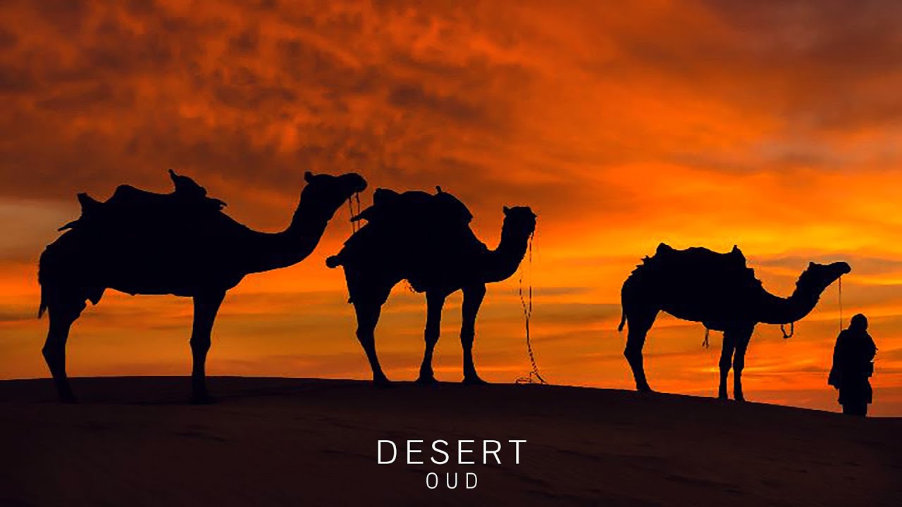 Desert Oud - Arabian Music - Meditation in Desert, Sun-Kissed Secrets