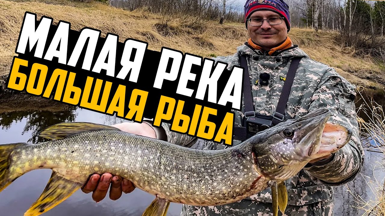 ЩУКА НА УЛЬТРАЛАЙТ В МАЛОЙ РЕКЕ! НЕОЖИДАННЫЙ ТРОФЕЙ. Рыбалка 2025