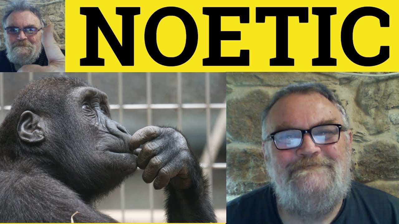 🔵 Noetic Meaning - Noetic Examples - Noetic Defined - Formal Vocabulary - Noetic
