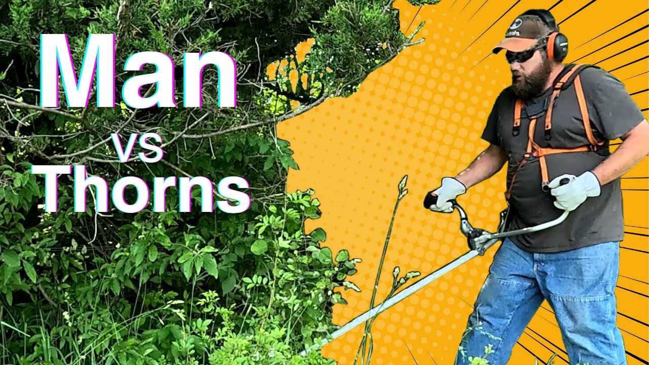Reclaiming an old Fence Line  - Echo Brush Cutter in Action