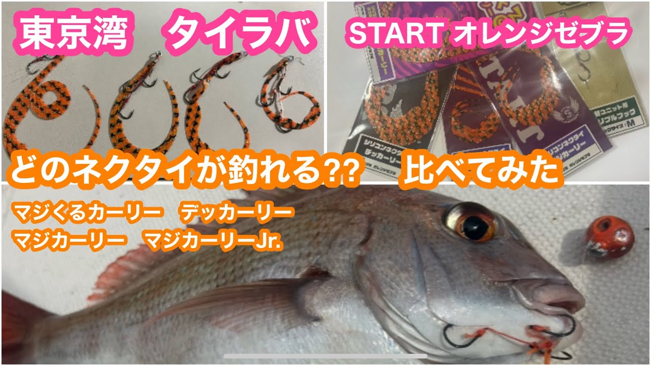 タイラバ　ネクタイ比べて　釣れる大きさは⁉️東京湾　マダイ釣り　釣果は断然○○がいい‼️