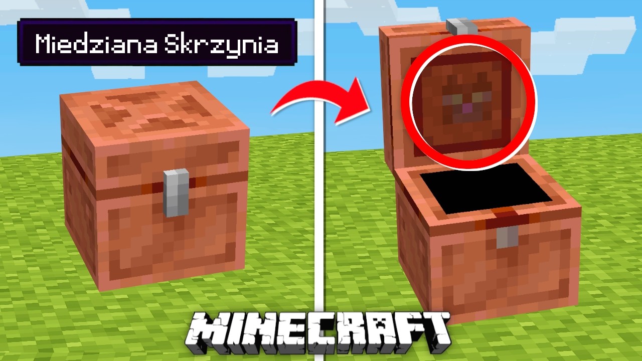 10 DZIWNYCH MIT&Oacute;W od WIDZ&Oacute;W do MINECRAFT... *sprawdziłem je*