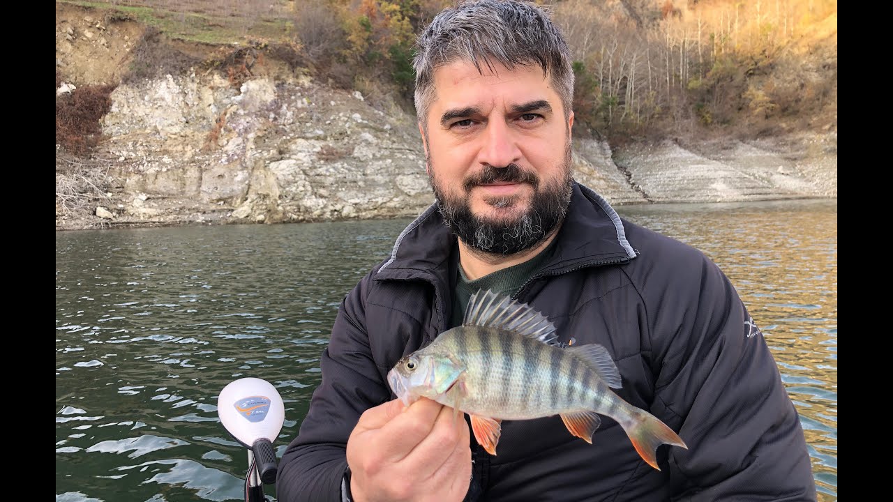 Bot ve Balık Bulucu Kullanarak Drop Shot Tekniği ile Perch Avı - Teknoloji ve Teknik Buluşuyor!