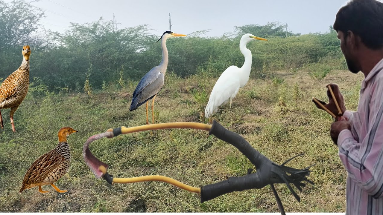Sling and Catapult Hunting: The Ultimate DIY Guide