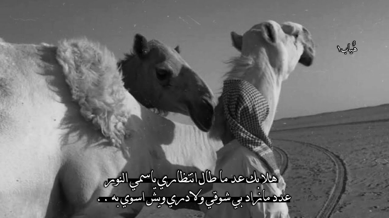 على وقع الوصال الي مضى دونه ثلاث شهور | صالح ال مانعه بطئ