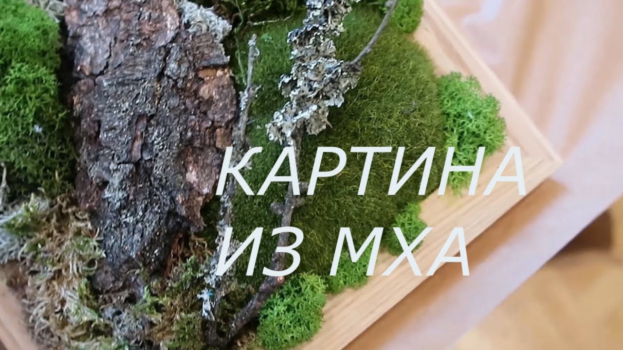 КАРТИНА ИЗ МХА / ЭКО ДЕКОР/ ШКОЛА ФЛОРИСТИКИ В ПОЛЬШЕ