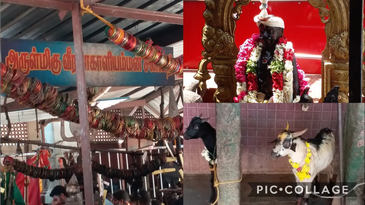 குழந்தை வரம்,திருமணம் கைகூட,பகைவர்களை அழிக்க உதவும் மிகவும் சக்தி வாய்ந்த வீரமாகாளியம்மன் கோவில்