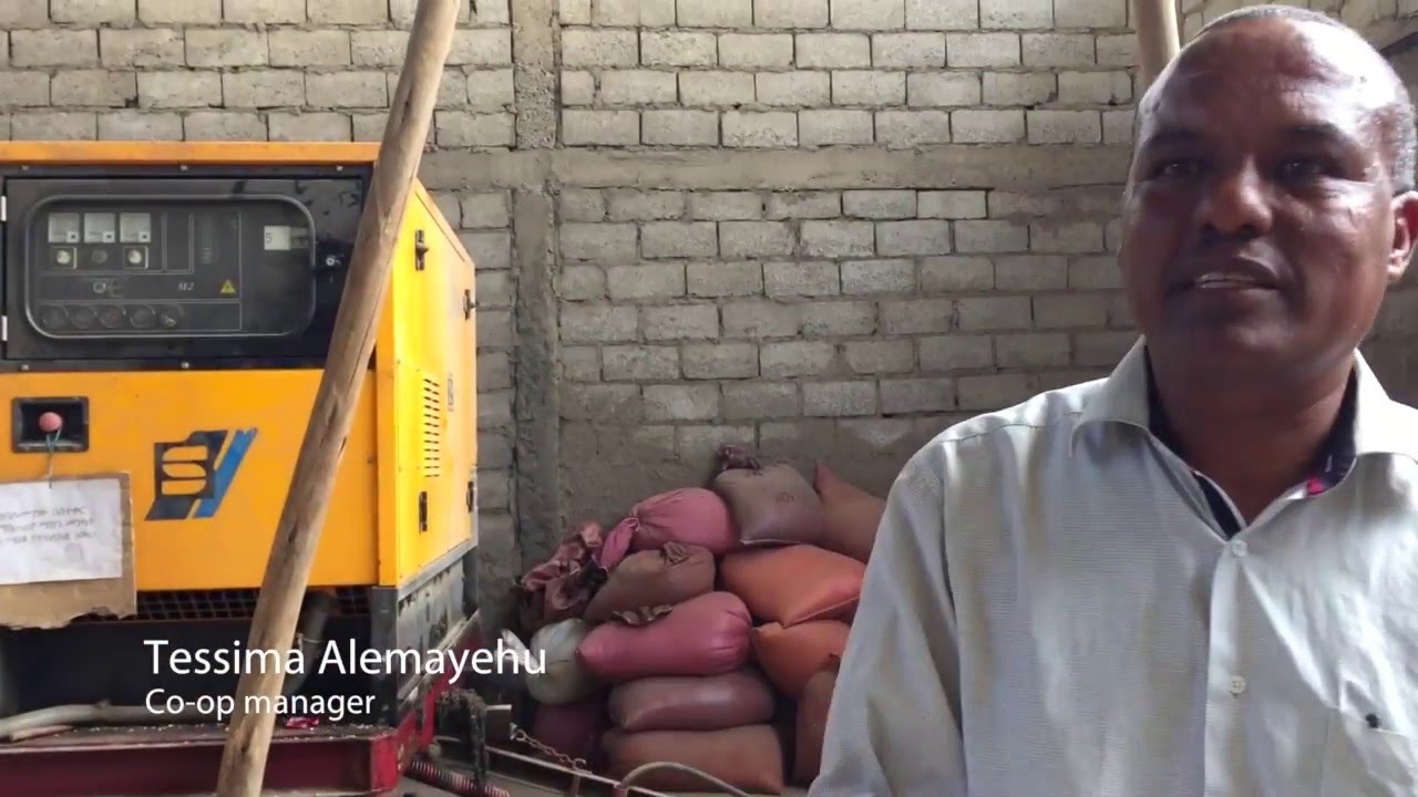 Quality seed production in Ethiopia