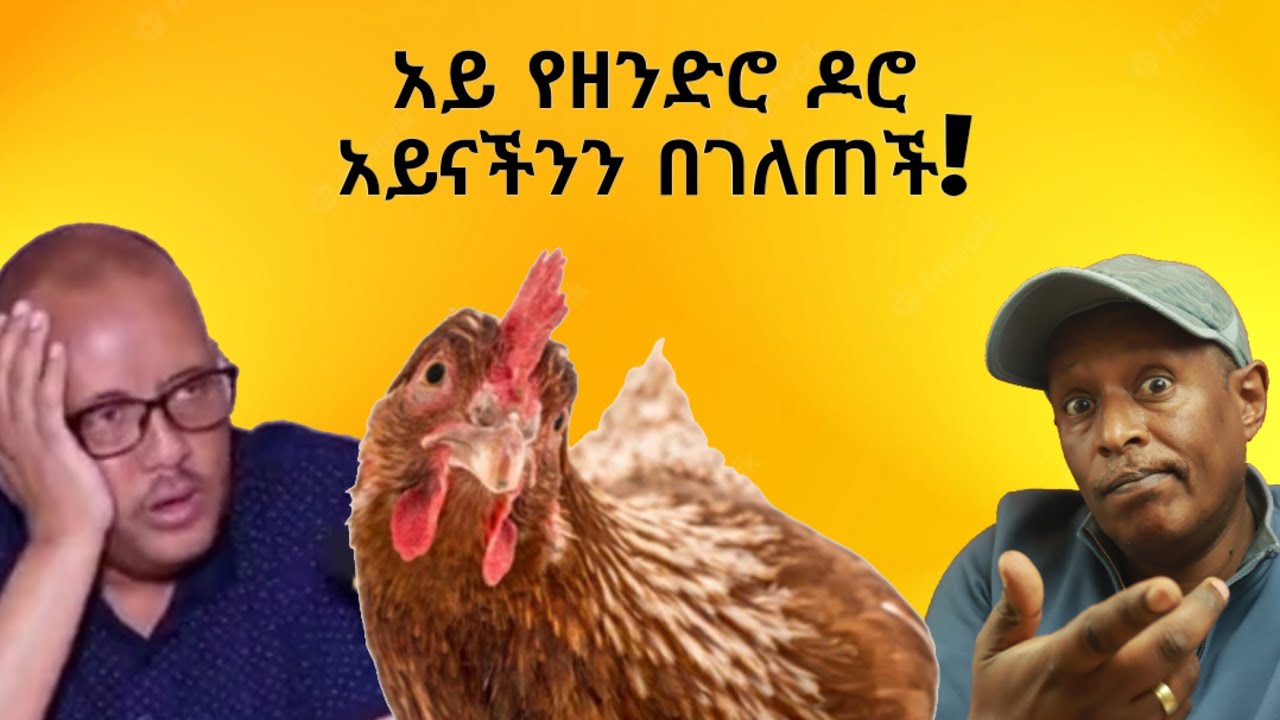 ወይ የዘንድሮ ዶሮ - በሳቅ የሚያፈነዳ የኢትዮጵያ ቲክቶክ - Ethiopian Funny TikTok Videos Reaction