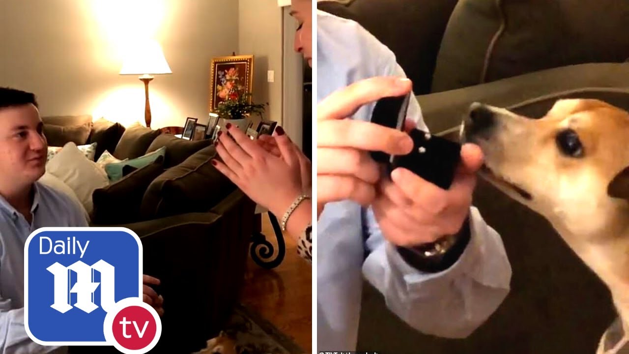 Indecent proposal! Man gets down on one knee to present girlfriend earrings