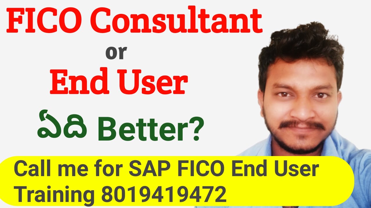 Which job is better SAP FICO Consultant or End User
