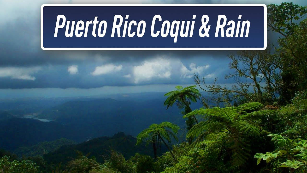 Rain & Coqui Sounds | Puerto Rico Rain Forest | Sleep Therapy | Help with #Insomnia