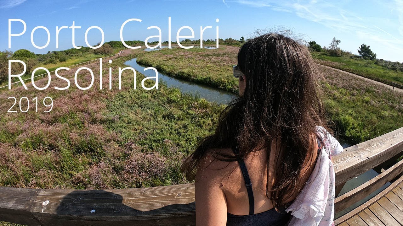 Porto Caleri, Rosolina 2019