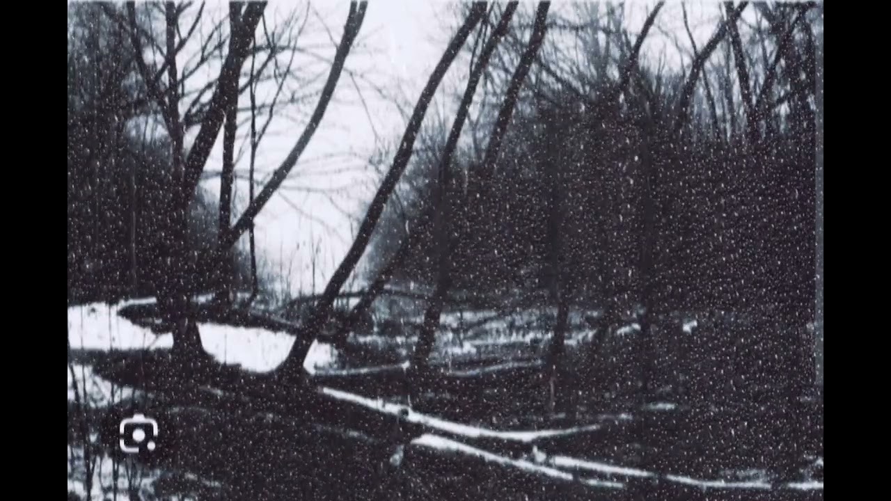 NO! PLEASE! NO! - Atmospheric Black Metal - Instrumental 