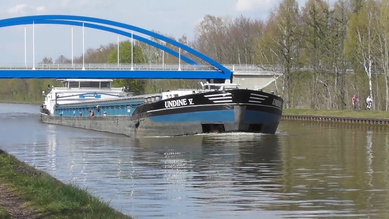 MS Undine V  02326076