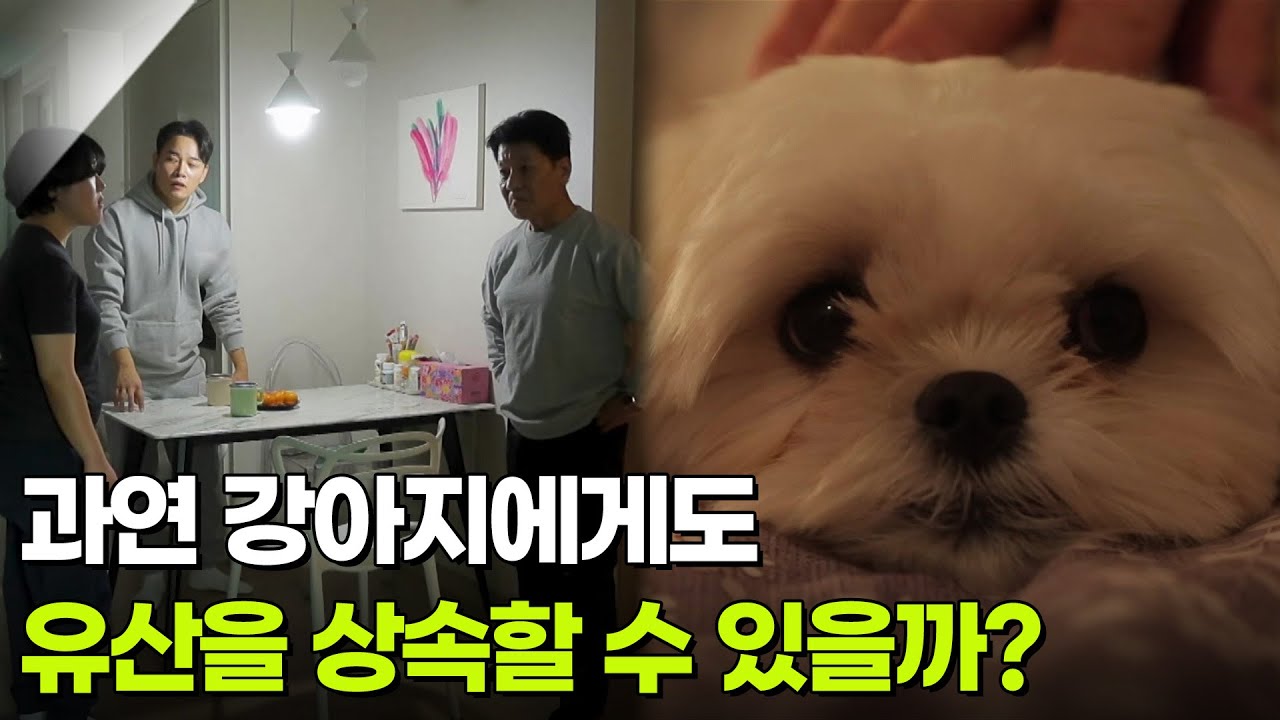 [사건의 재구성] 과연 강아지에게도 유산을 상속할 수 있을까?  [생방송 굿모닝 대한민국] | KBS 260122 방송