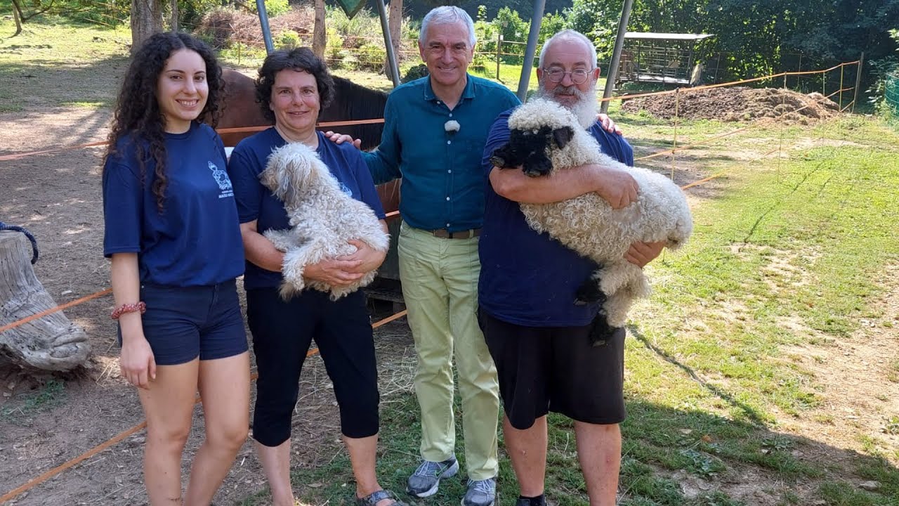 MASO MICHELINI: GIUSEPPE E LA FATTORIA DEGLI ANIMALI
