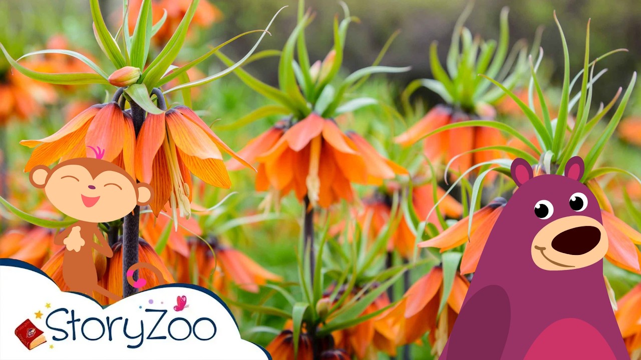 Keizerskronen 🌻 | StoryZoo In De Keukenhof 💐 | Educatieve video's voor kinderen | #storyzoo