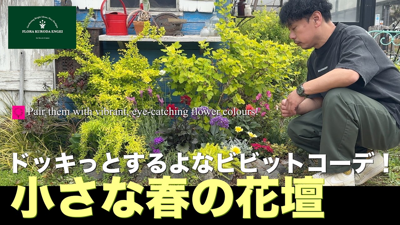 【鮮やかなビビットコーディネート】小さな春花壇に植え替え！「春のガーデニング」-フローラ黒田園芸- #ガーデニング #園芸 #庭作業 #花壇 #寄せ植え 