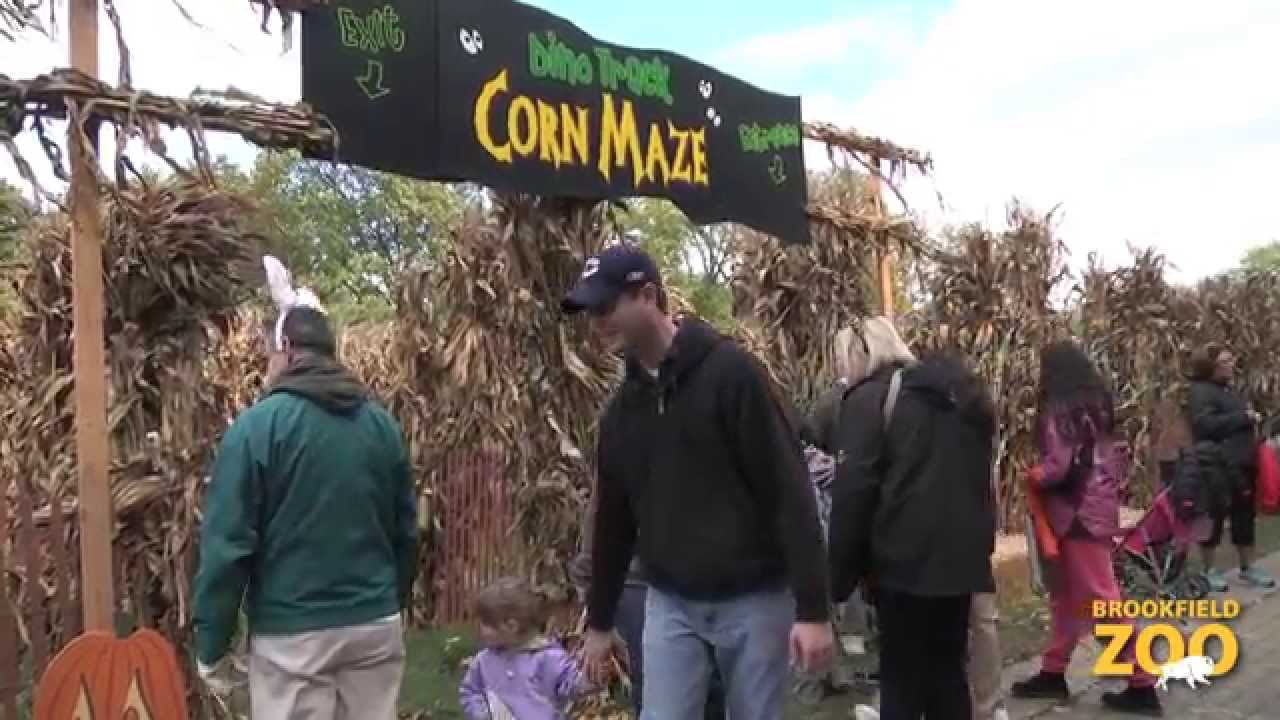 Boo! at Brookfield Zoo Halloween Celebration
