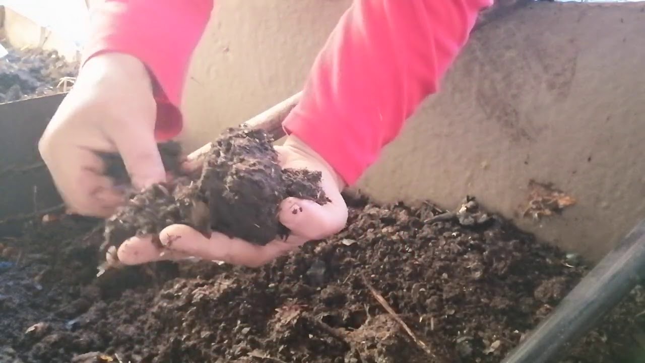 Ferma de rame, rezultate după 4 luni