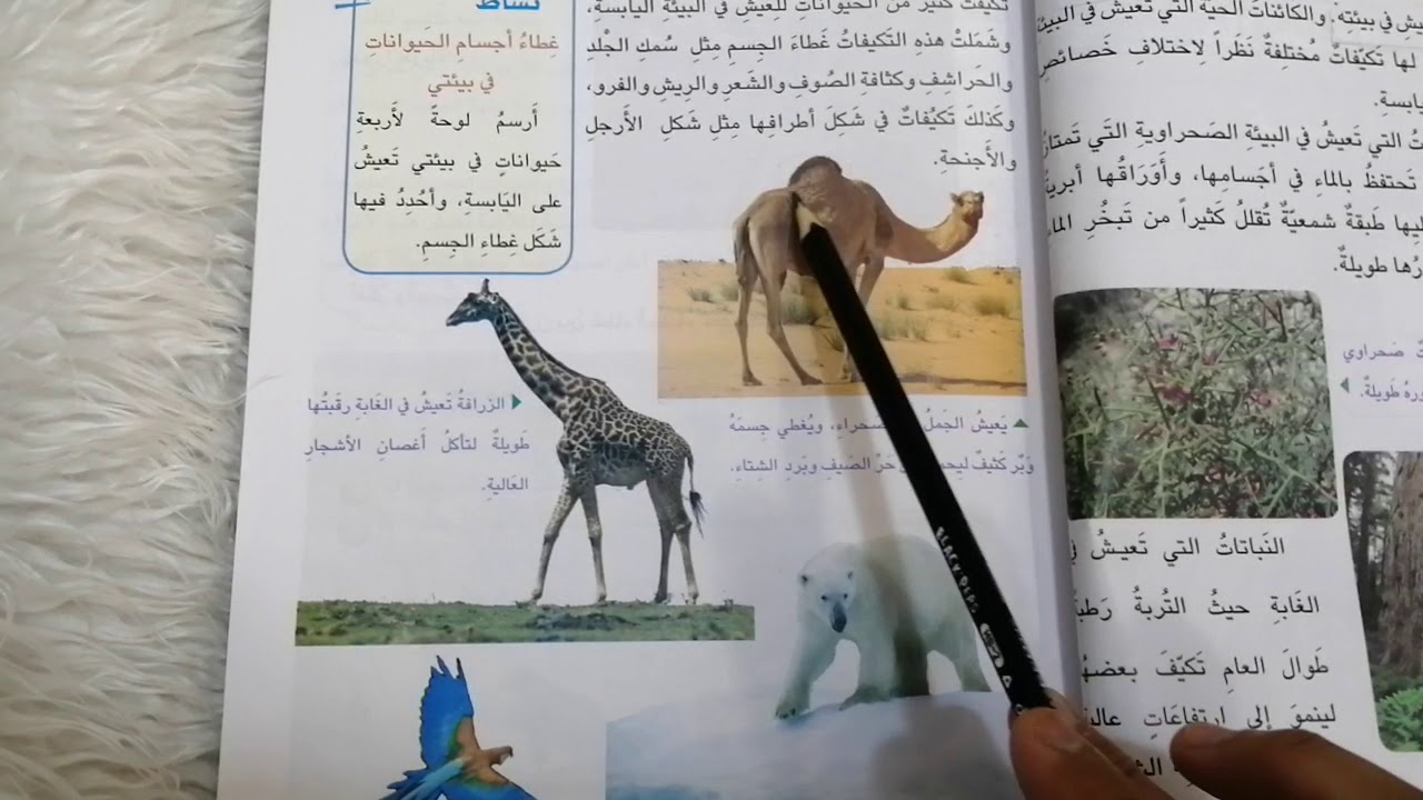 تكيف الكائنات الحية للعيش في البيئه اليابسة ،،،للصف الثاني الأبتدائي
