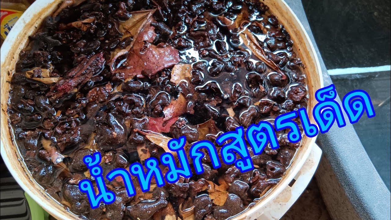 ทำน้ำหมักปลากัดสูตรนี้ปลาพองเก่ง