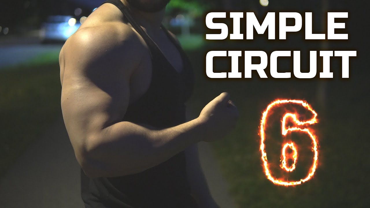 The Simple 6 BRUTAL Circuit