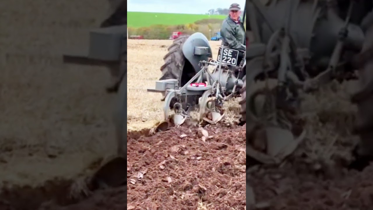 Старейший трактор Massey Ferguson пашет в поле #usatractor #americanfarming #plowing