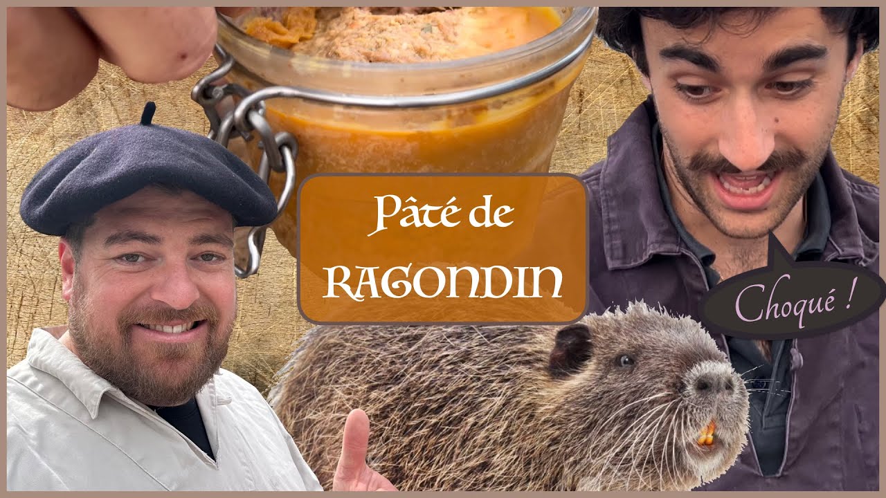 Cuisiner du RAGONDIN 🦫