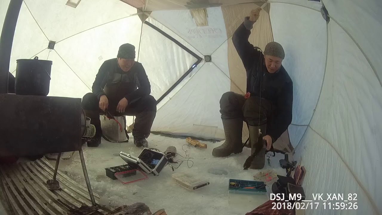 Тур в Якутию, рыбалка! Fishing tour in Yakutia.