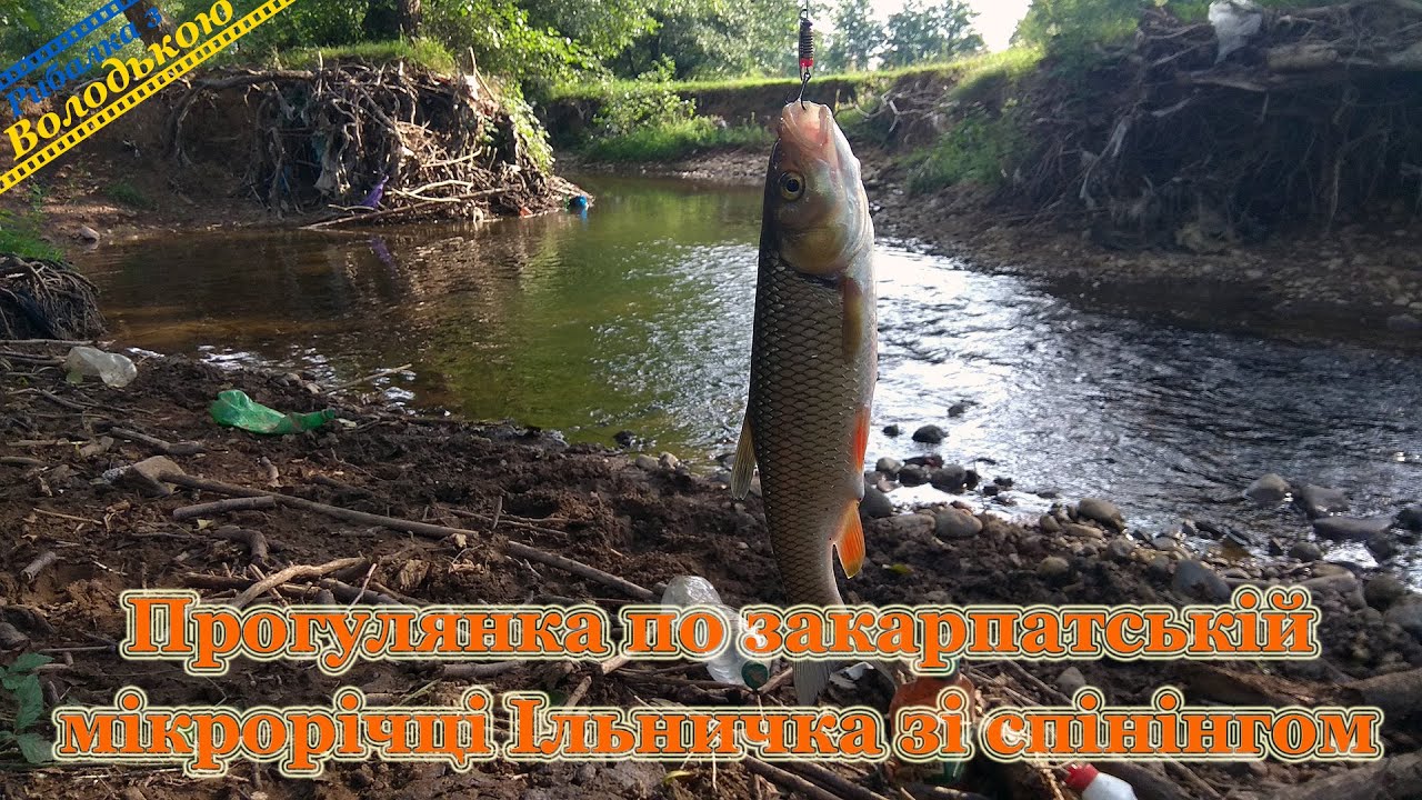 Прогулка по закарпатской микроречке Ильничка со спиннингом