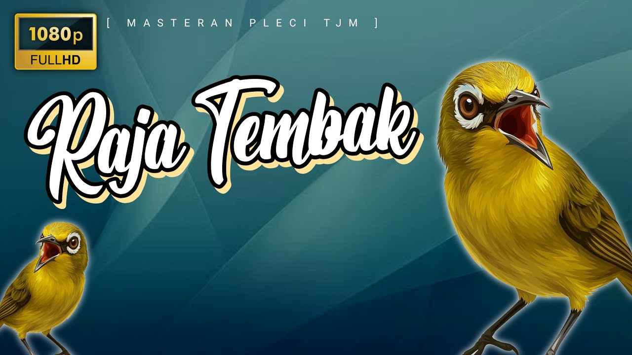 🔴 LIVE Masteran Pleci Nembak Terbaru Raja Tembak !!!