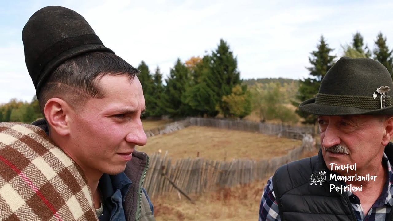 In Avramoane  Petrila ,de treci codrii de arama dai de turma de oi a tanarului ciobanas Ady Dioane!