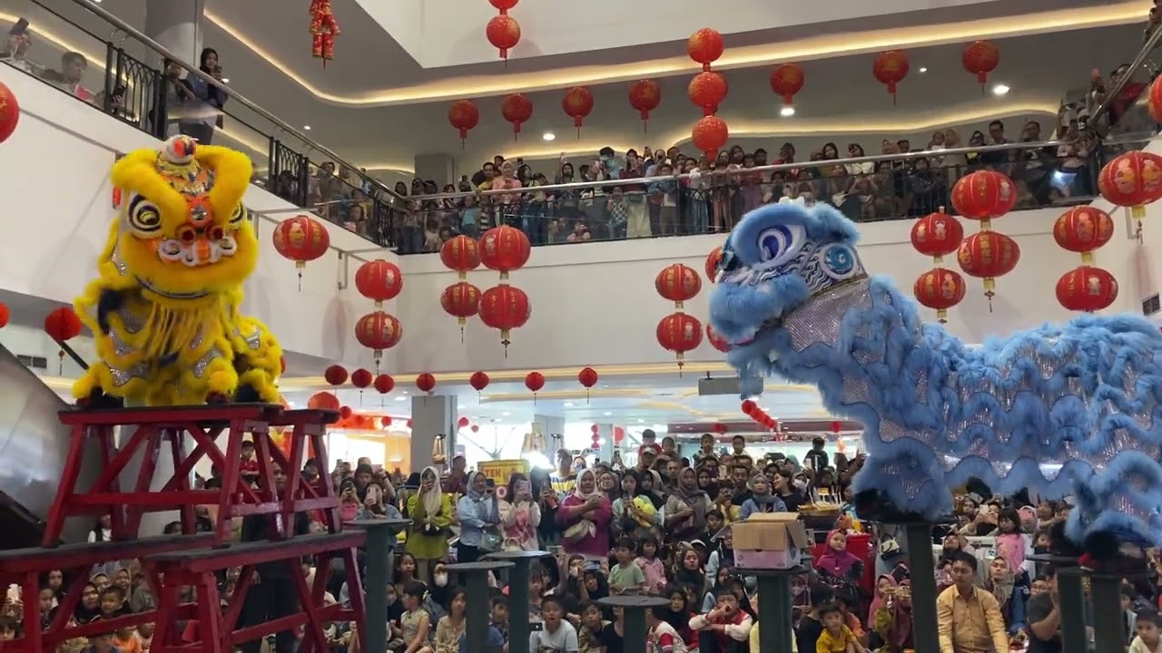 ATRAKSI BARONGSAI  #barongsai #barongsai2026 #imlek2026 #imlek 