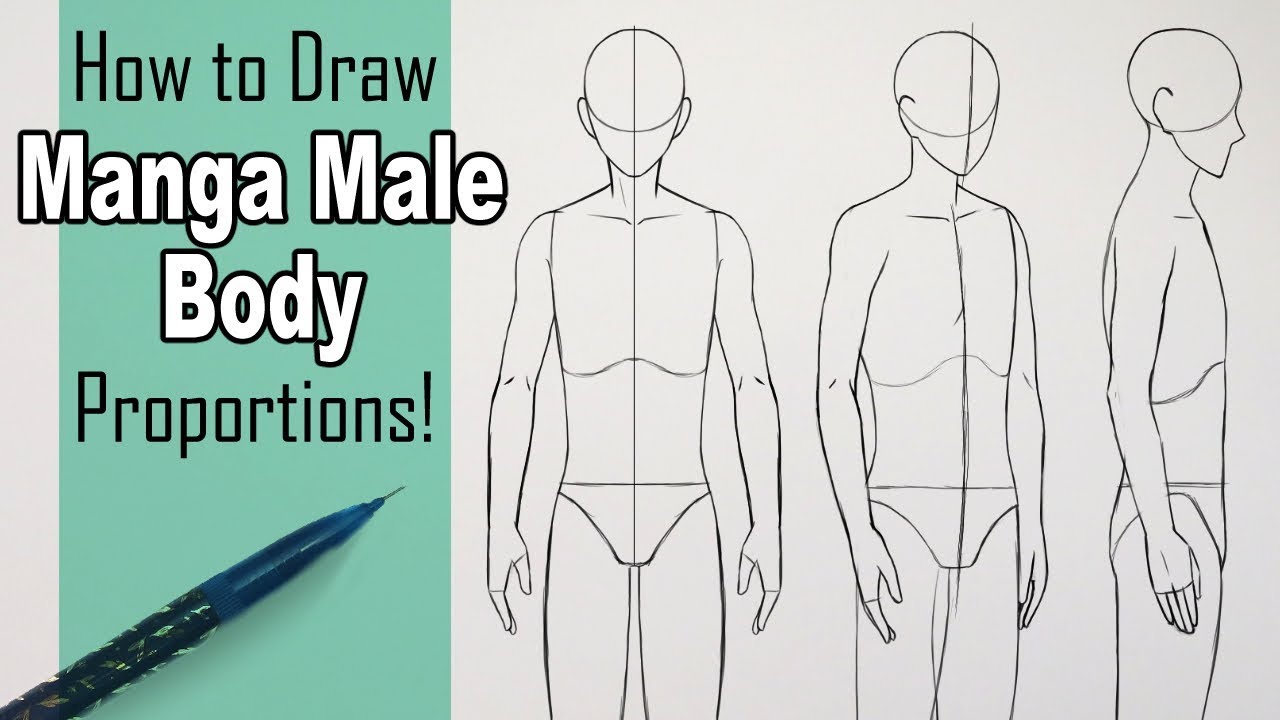 How to Draw a Manga Male Body: Front, 3/4 and Side View!
