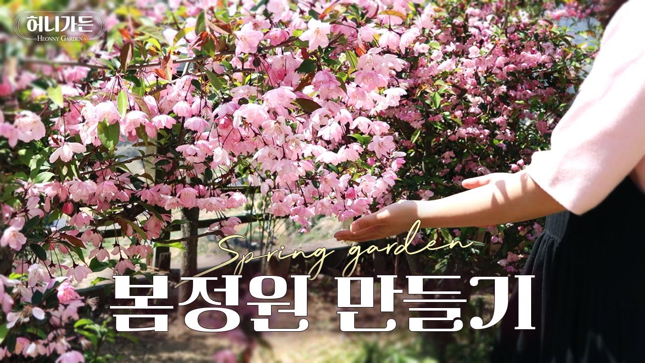 분주, 가지치기, 모종심기 | 절대 심지말아야할 것 | 봄정원 만들기 #garden #gardening #봄정원 #원예 #flowers #봄꽃나무 #정원수 추천