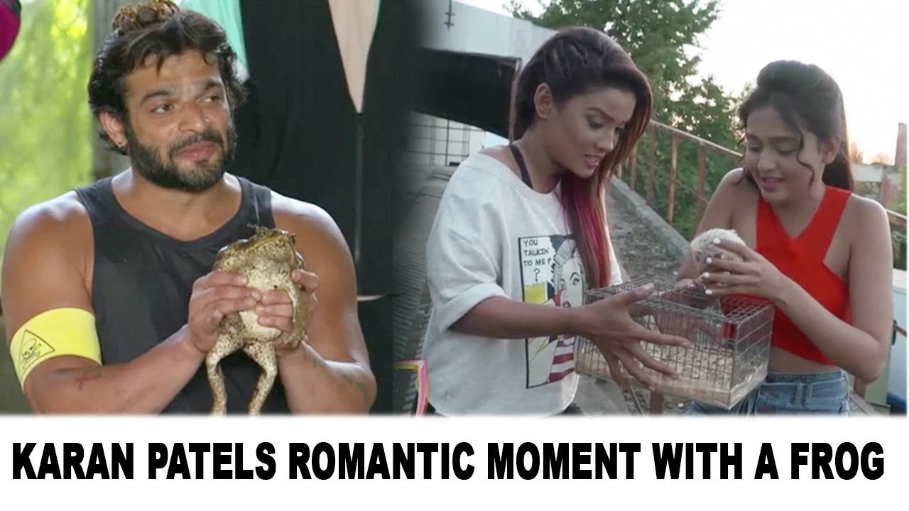 Karan Patel Scared Of Frogs | Tejasswi’s Hilarious Moment With Nikhil | KKK10 FULL UPDATE