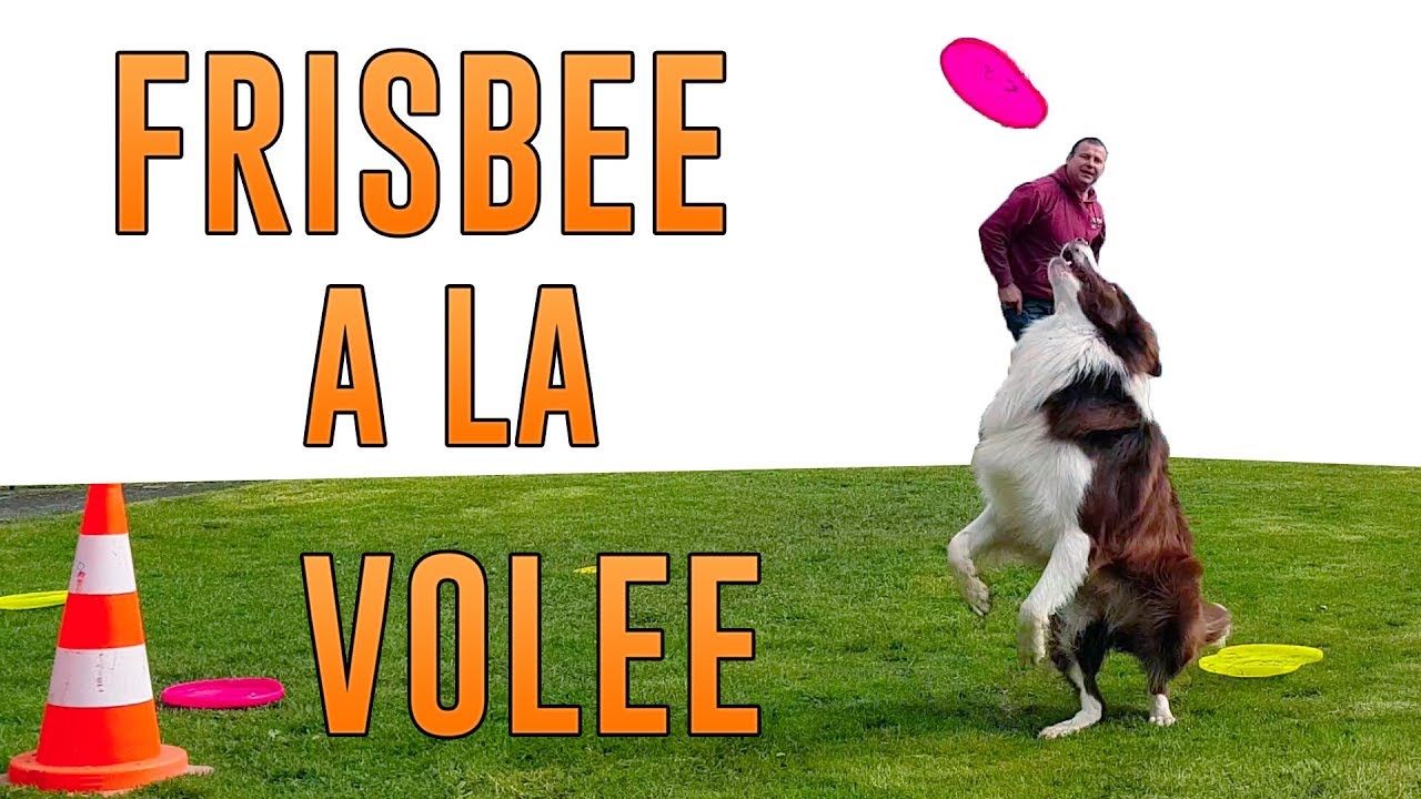 Peps, le Frisbee, le 8 et les Ronds (prochain trick tutoriel)