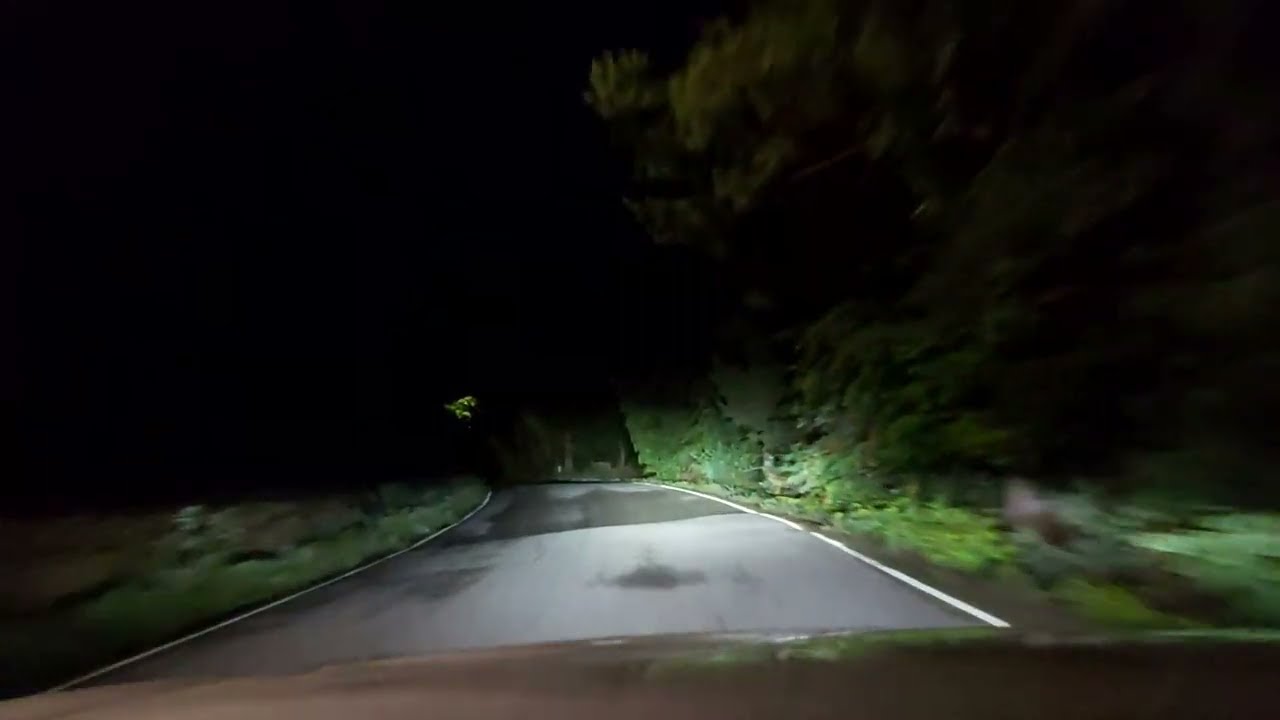 Car drives a small Road at Night, Finland - FREE VIDEO
