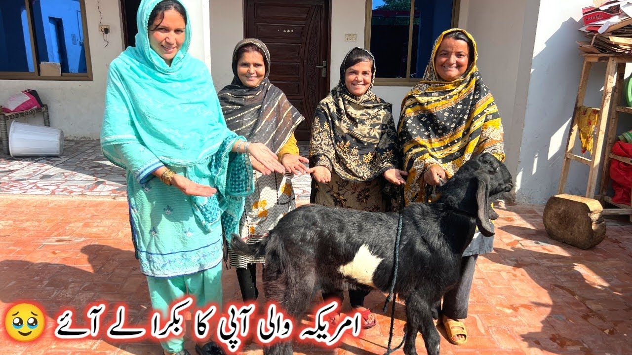America Wali Aapi Ka Bakra Le Aaye 🥹