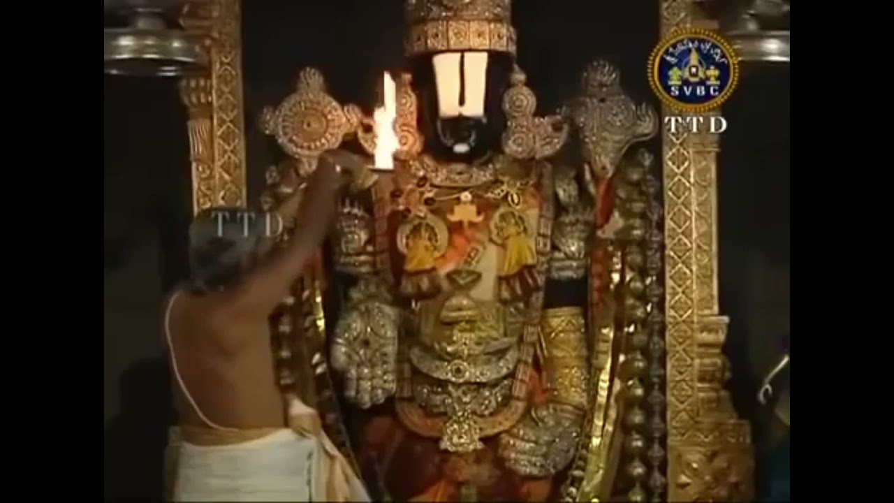 శ్రీ వెంకటేశ్వర స్వామి దివ్య ఆశీస్సులు అందజేసిన టీటీడీ తిరుమల టెంపుల్  #tirumala #srivaritemple #god