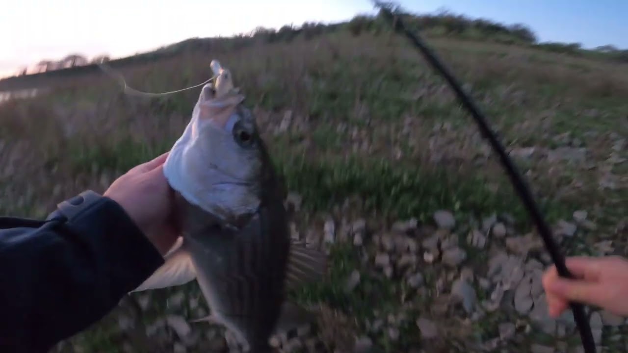 San Luis Reservoir Quick Limit 2/21/26