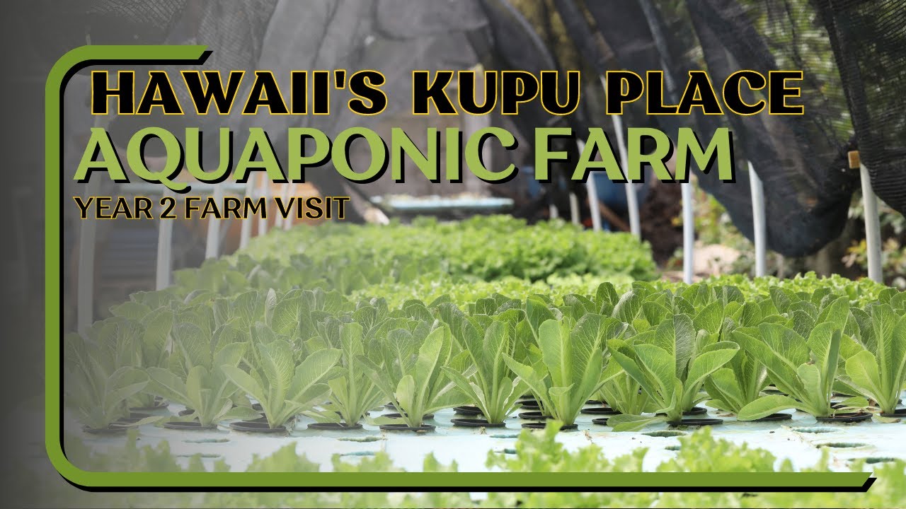 Aquaponic Farming in Hawaii- Scaling a Farm for Food Security in Remote Regions