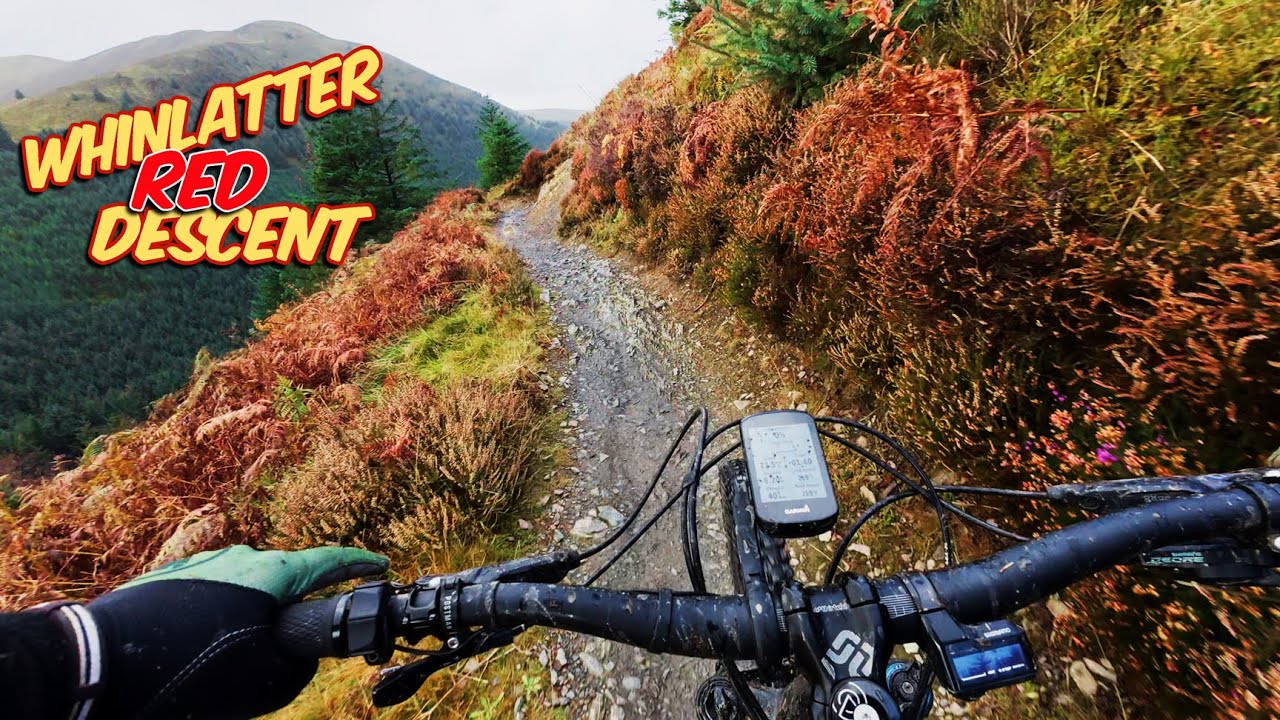 Whinlatter Red Descent - Over The Hill Mountain Biking