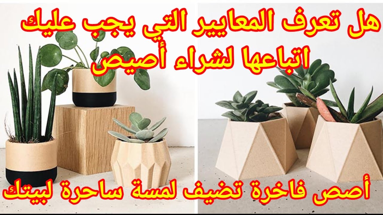 عالم السحر و الاناقة والحمال كيف تتعامل مع شراء الأصص وكيف تختار الأصص المناسب