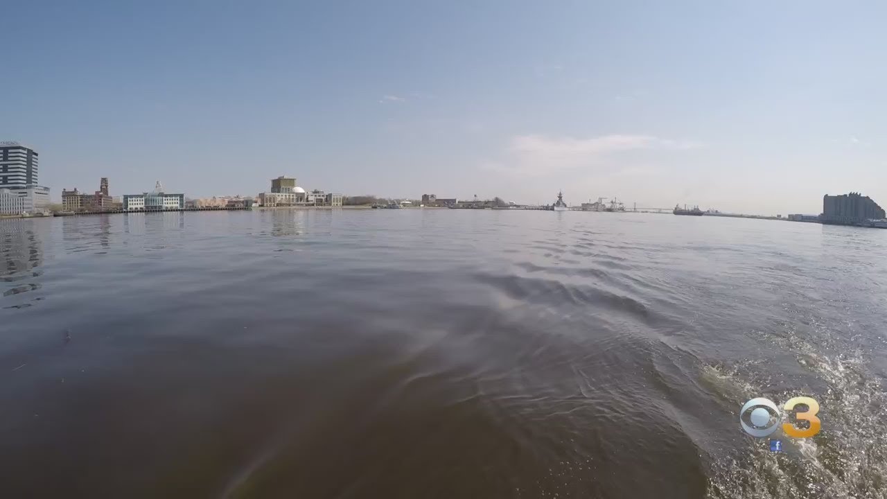 Philadelphia Water Department Working To Protect Our Drinking Water, Keeping Waterways Clean